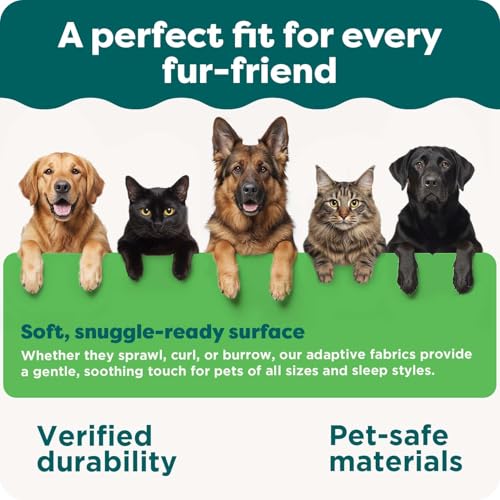 Orthopedic Dog Bed for Large Dogs w (Jumbo / Woodsmoke)