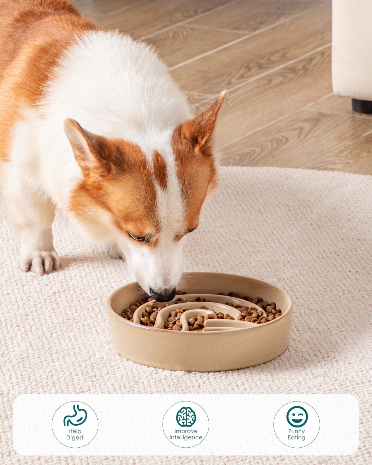 Slow Feeder Dog Bowl (Brown / 1.5 Cups)