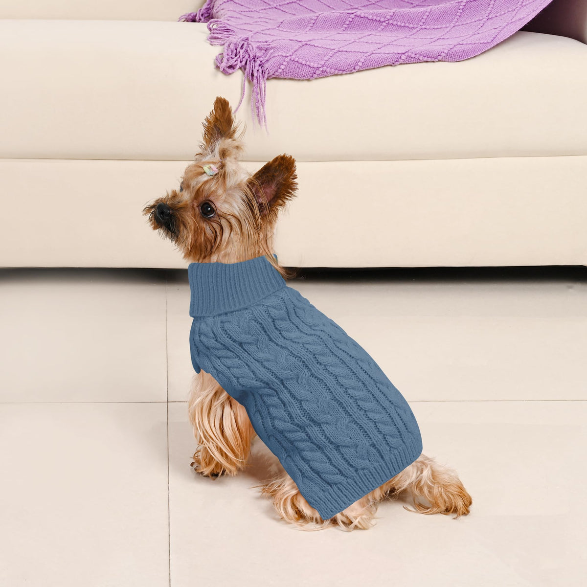 Dog Sweater 2 Pack for Small Dogs (Navy & Blue / X-Small)
