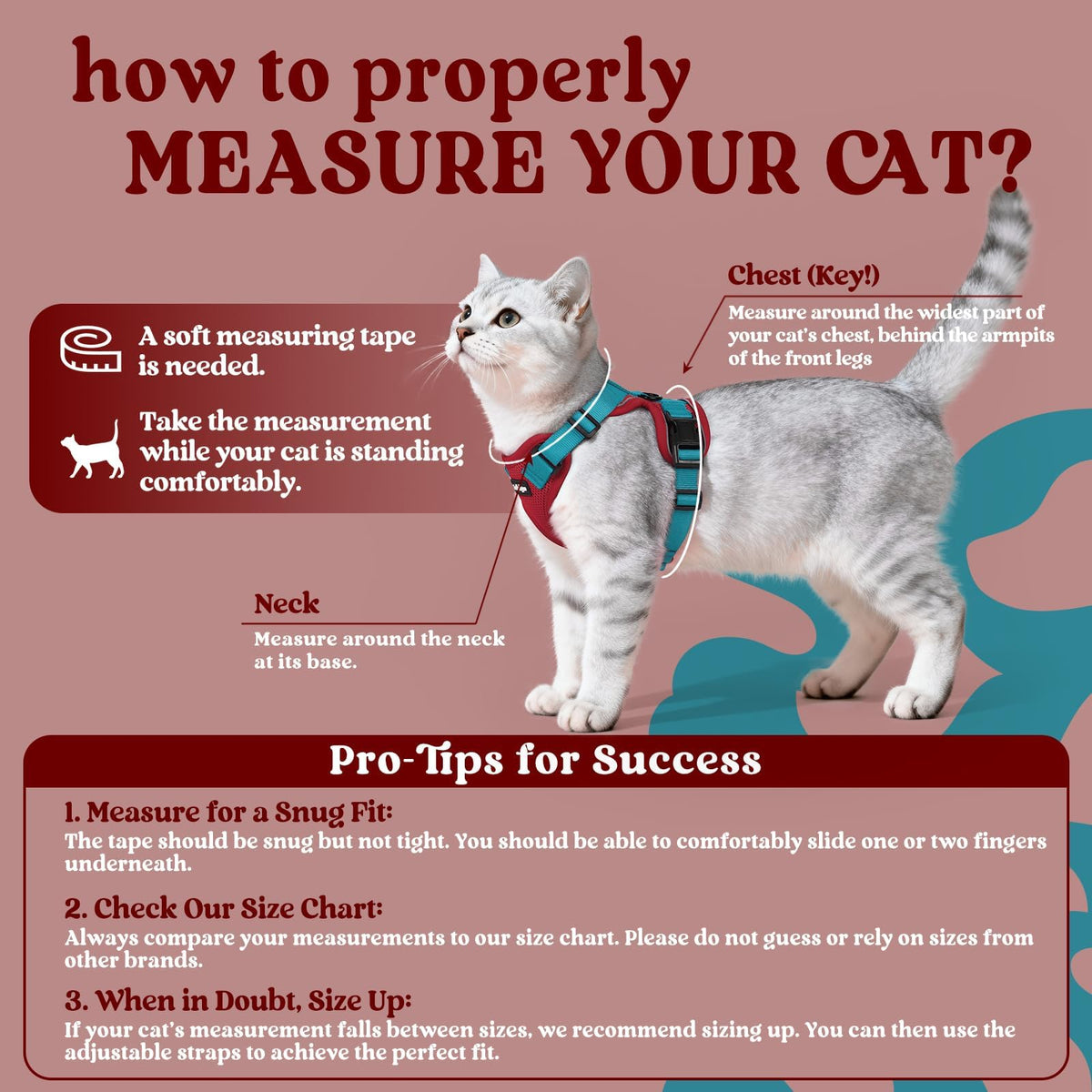 Cat Harness and Leash Set (Xs / Red & Teal)