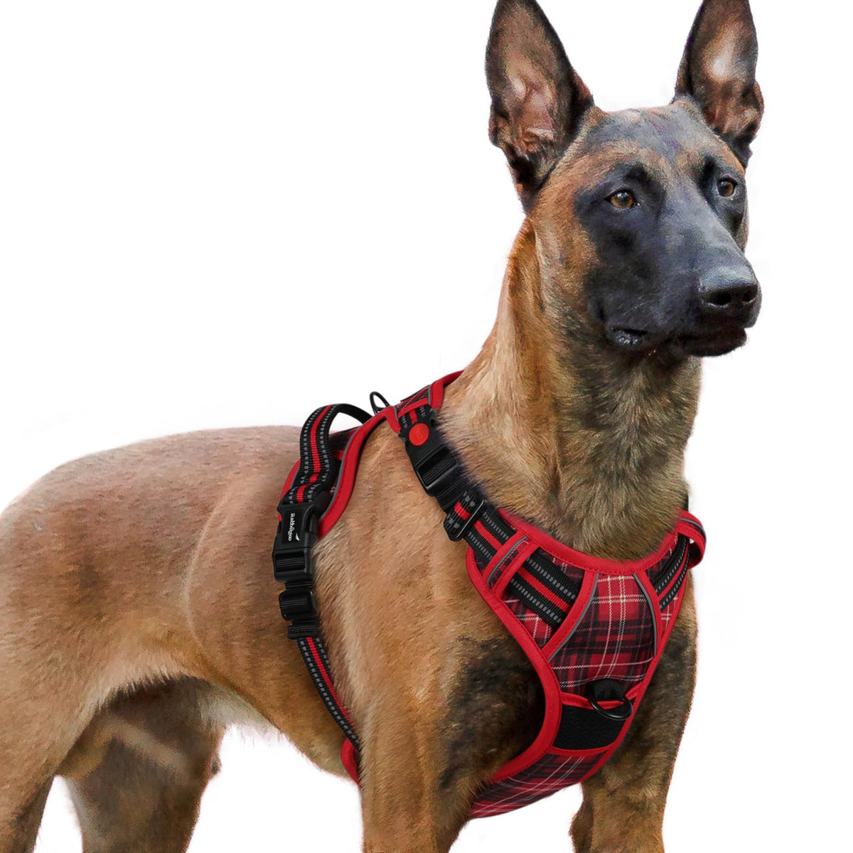 Dog Harness for Large (Red Plaid / X-large)