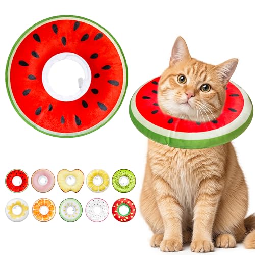 Cat Cone Collar Soft (Watermelon / Medium)