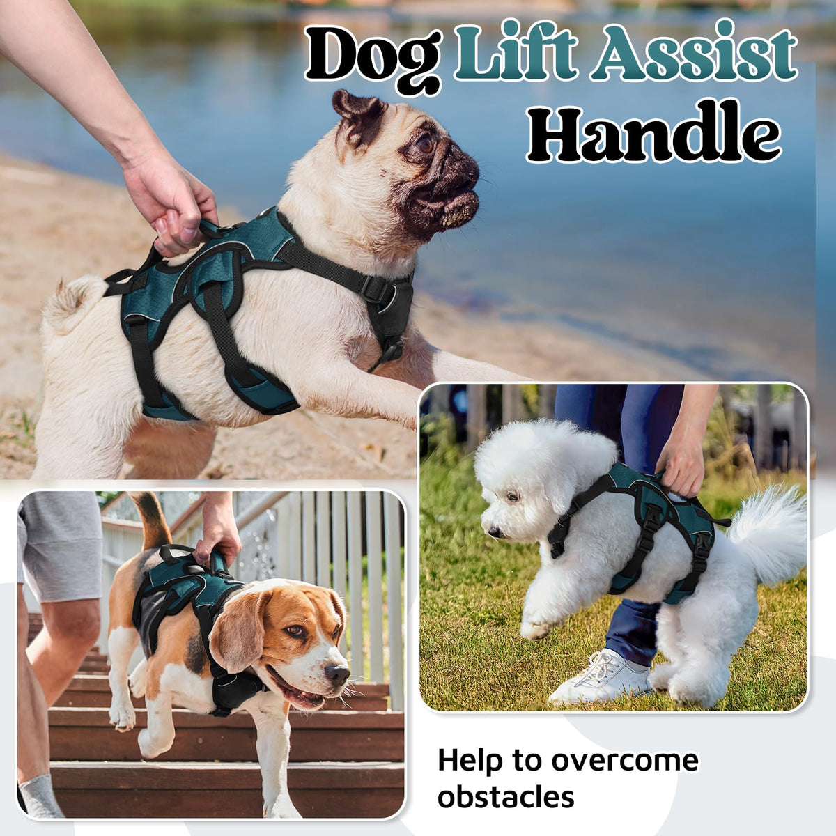 Escape Proof Dog Harness for Small (Dark Green / Small)