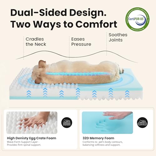Orthopedic Waterproof Medium Dog Bed (30" x 20" x 3" (For Sprawling) / 02-Pink)