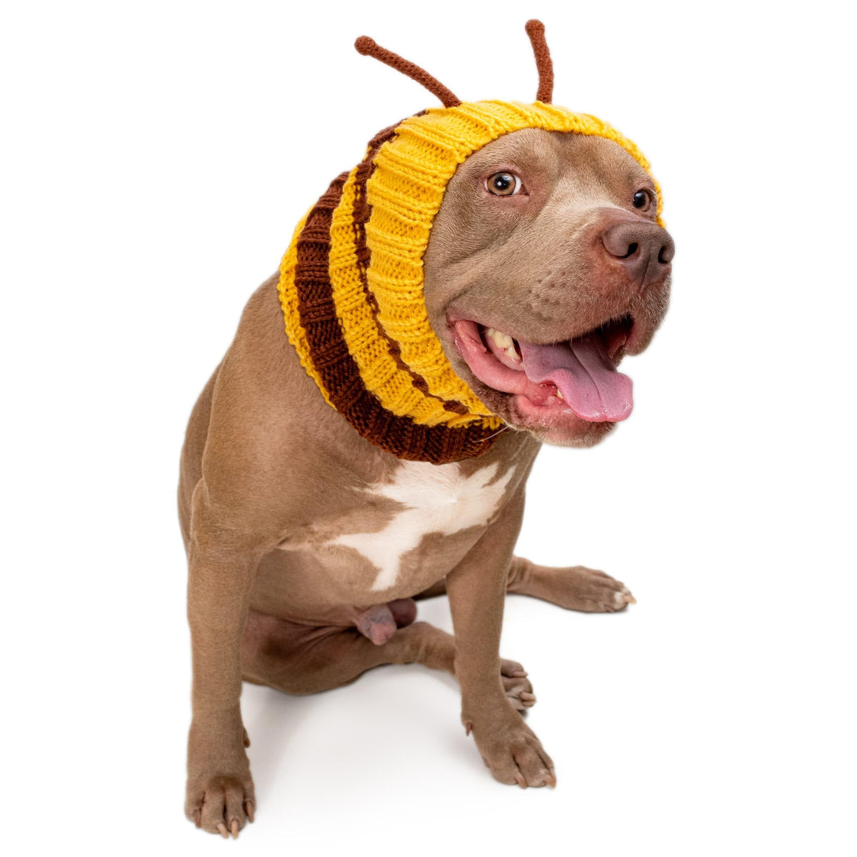 Bumble Bee Costume (Large)