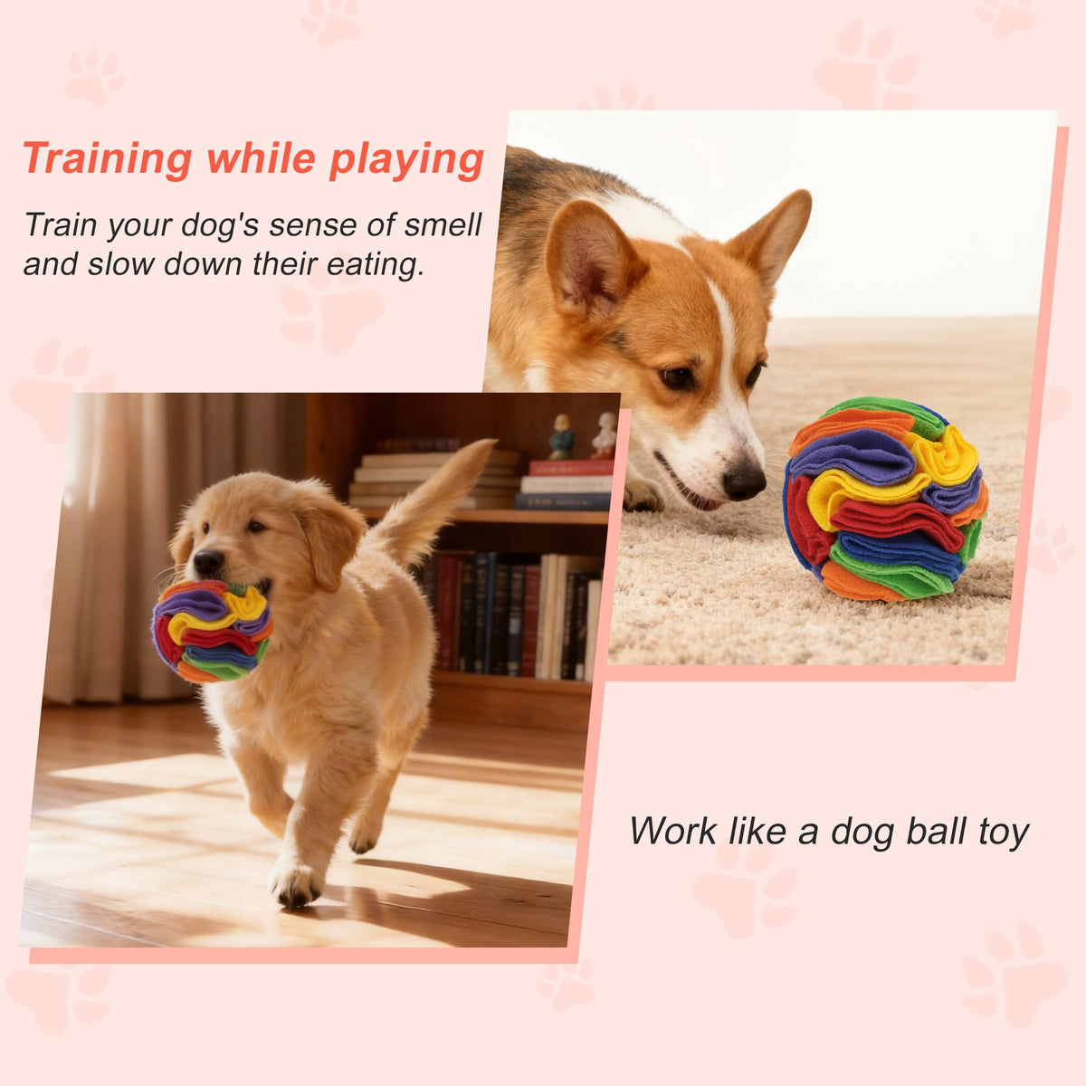 Snuffle Ball for Dogs (Rainbow / Medium)