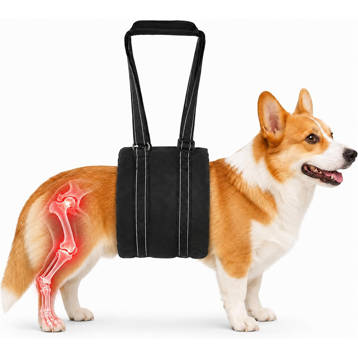 Adjustable Dog Sling for Medium Dogs (Medium)