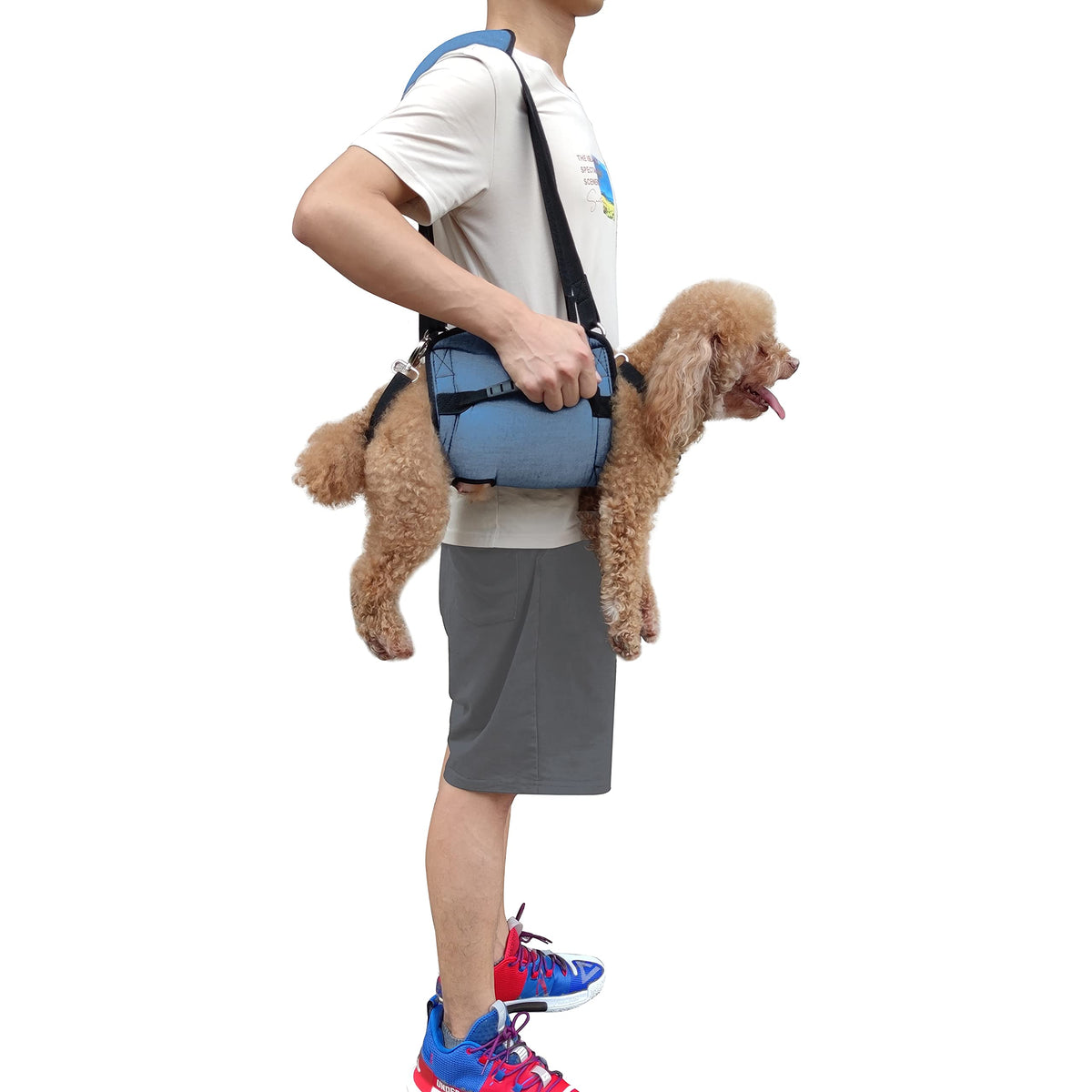 Dog Carry Sling (Blue / Medium)