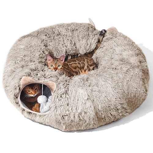 Cat Tunnel with Cat Bed for Indoor Cats (BROWN)