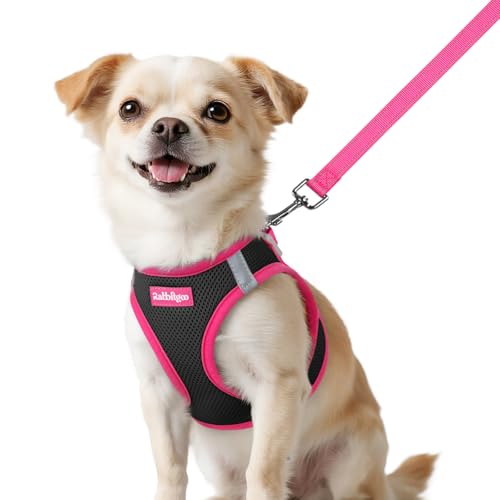 Dog Harness Small Sized and Leash Set (Black & Rose Red / XXS (Chest: 12.4"-14.2"))