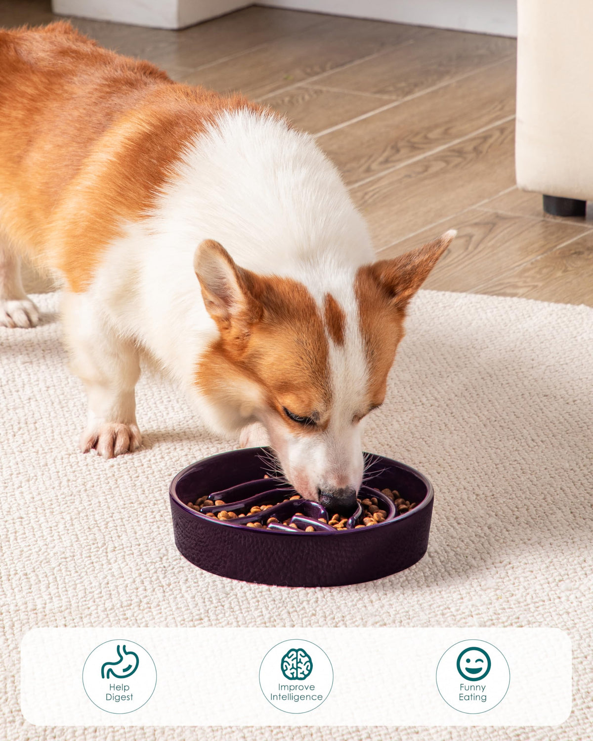 Slow Feeder Dog Bowl (Dark Purple / 1.5 Cups)