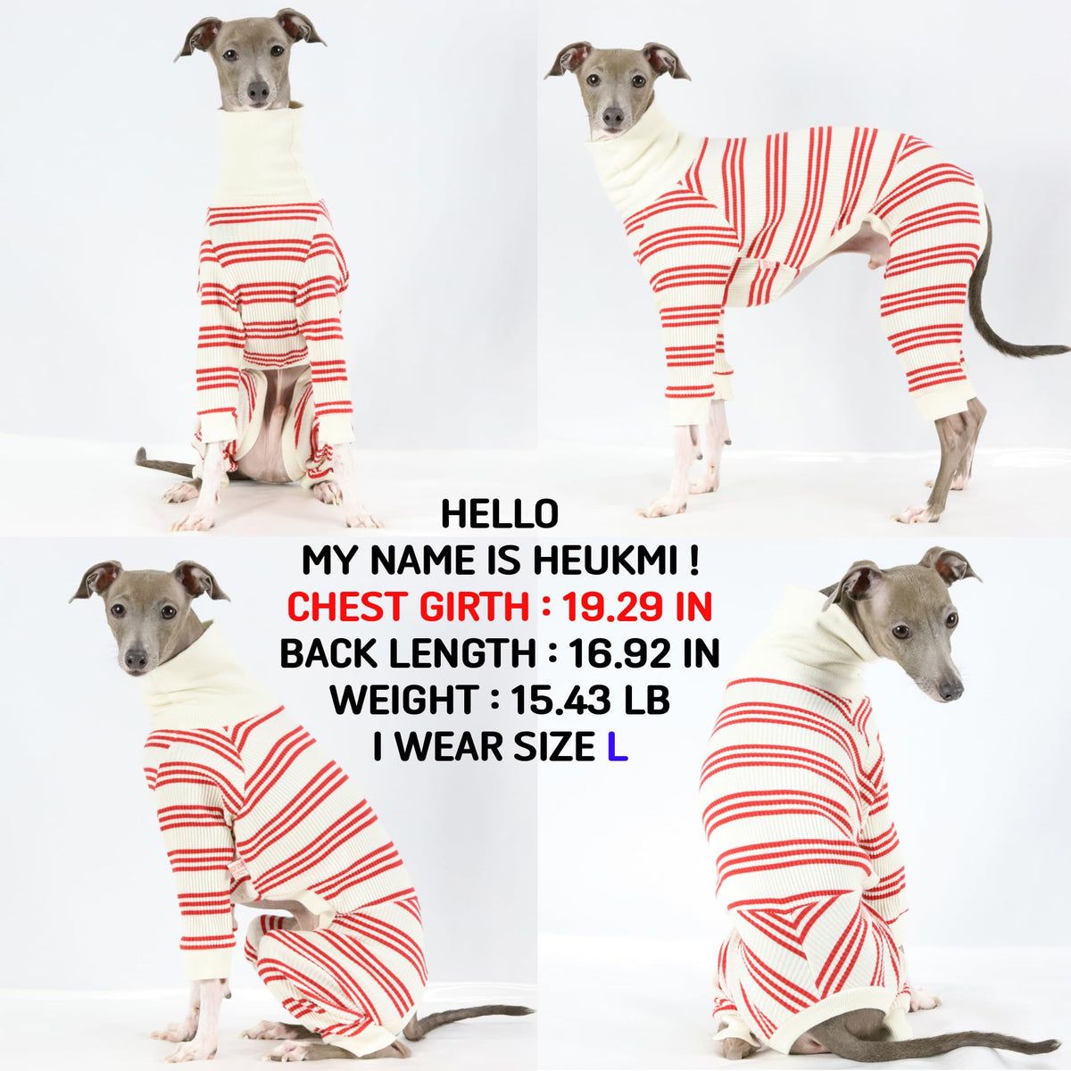 D Doggy Star Italian Greyhound Clothes Soft Stretchy Onesie Refined Stripe Outfit Whippet for Dog Coat (2XL / Onesie Red Stripe)