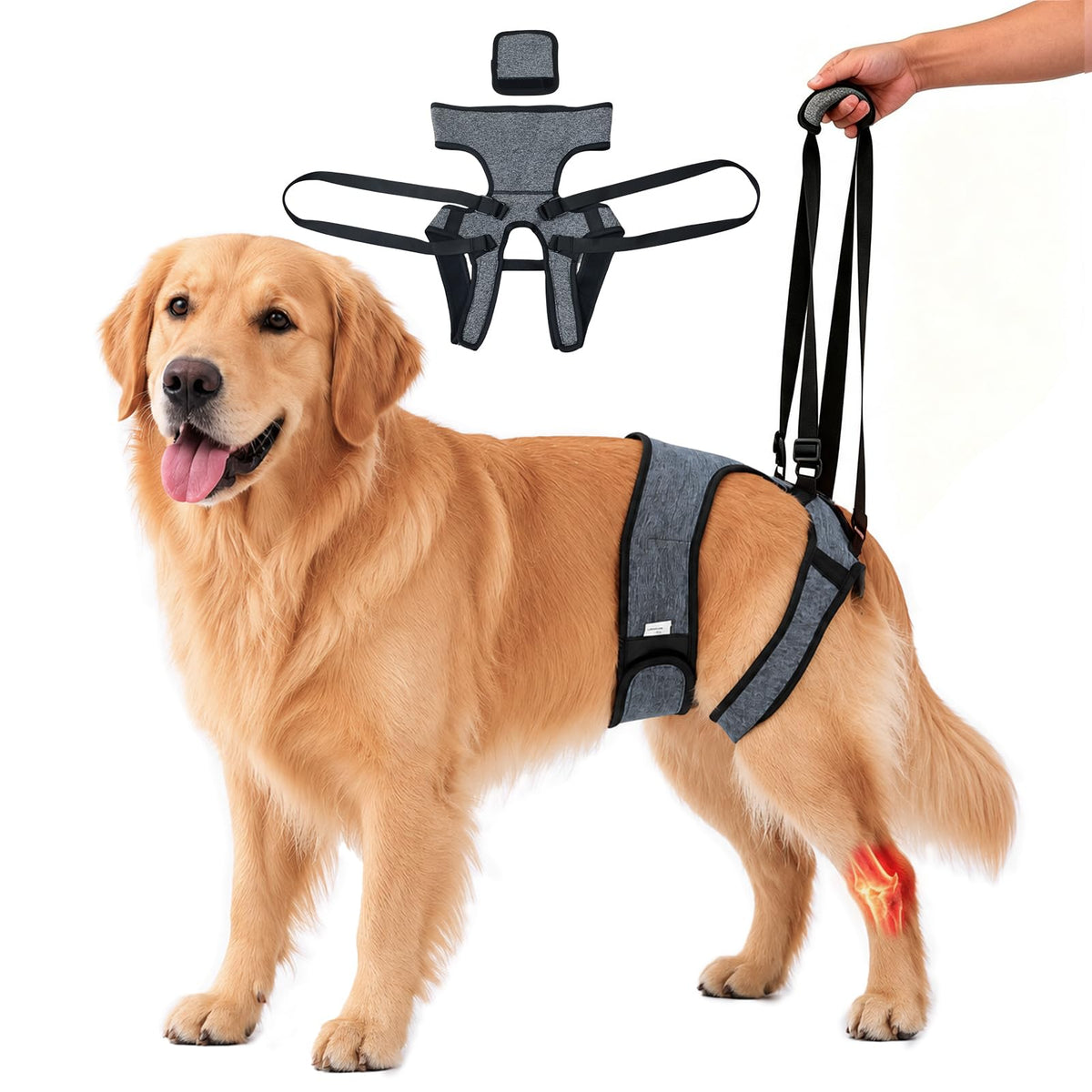 Dog Lift Harness (Grey / XL(Waist:24-29",Weight:55-77lb))