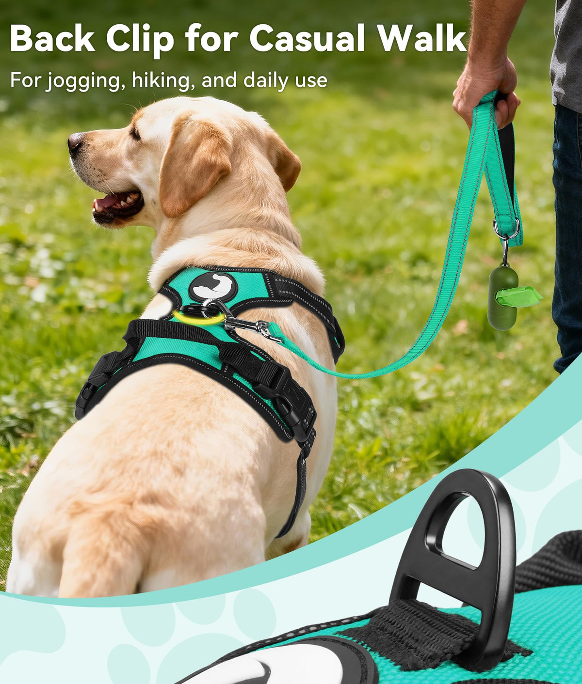 No Pull Dog Harness for Large Dogs (Large / Teal)