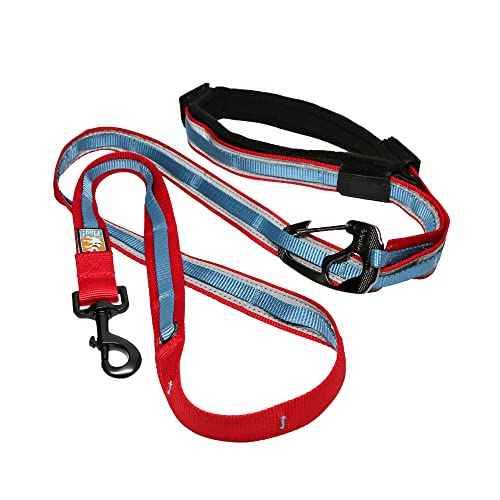 Quantum 6 in 1 Dog Leash (Red/Blue)