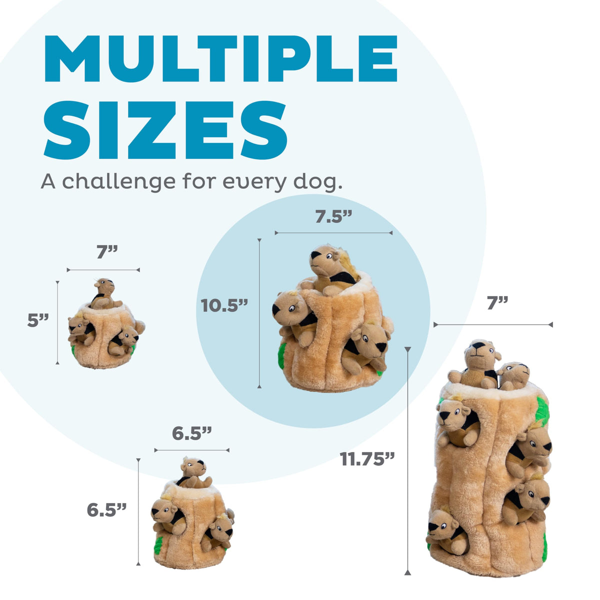 Hide-A-Squirrel Plush Squeaky Dog Toy, Large, 10.5" x 7.5" (Squirrel Large / Large (Pack of 1))