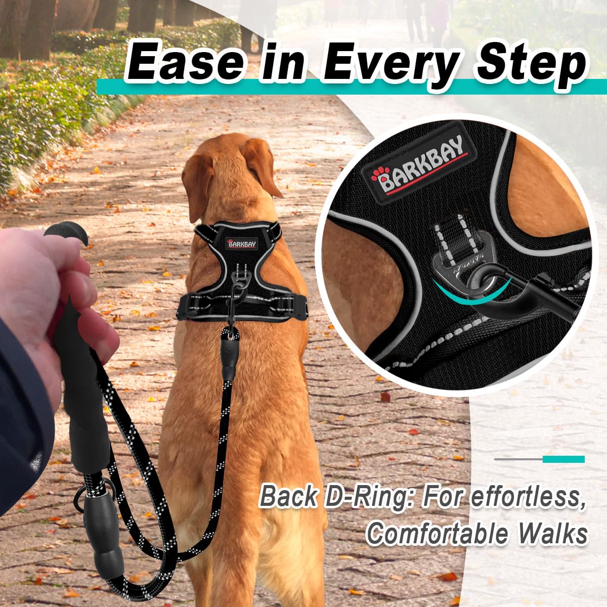 Dog Harness for Medium Sized Dog No Pull Mesh 2 Clips Dog Vest (Black-Mesh / Medium)