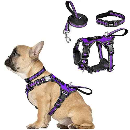 Pet Harness Collar and Leash Set (Small / Purple)