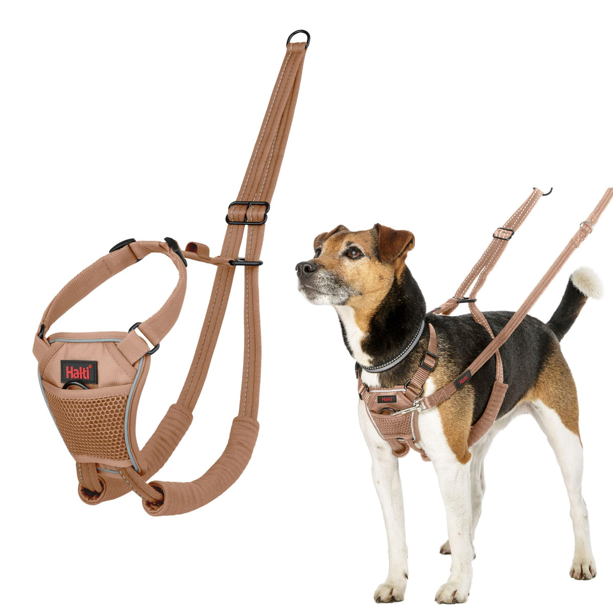 No Pull Dog Harness (Desert Sand / S)