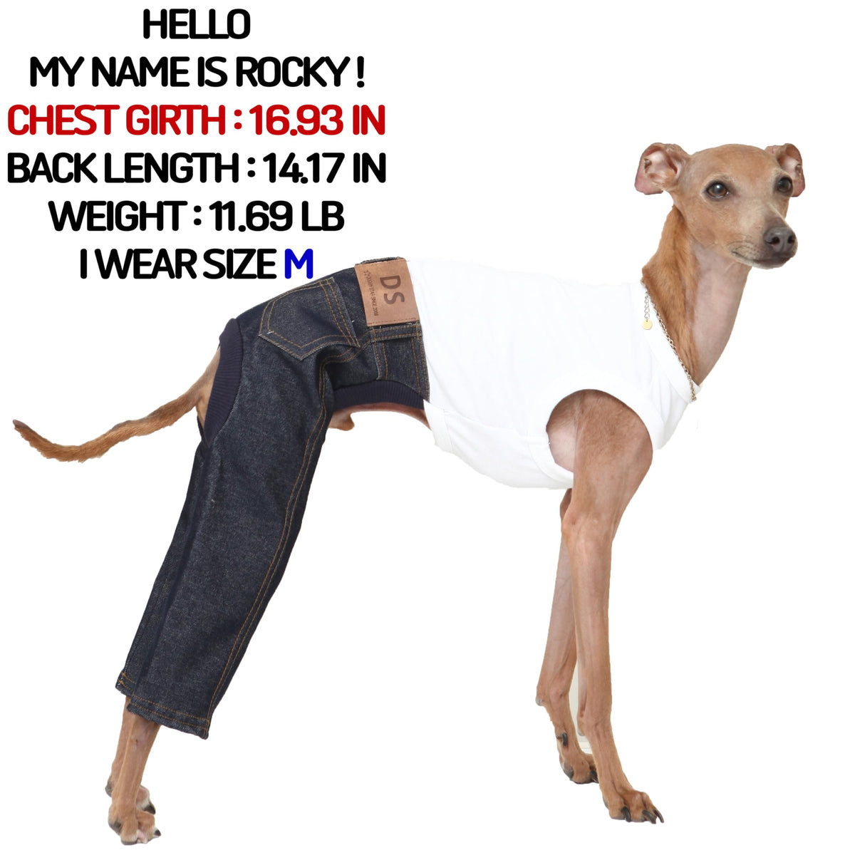 D Doggy Star Italian Greyhound Clothes Sleeveless Jeans Onesie Outfit Whippet for Dog Coat (2XL / Blue Jean)