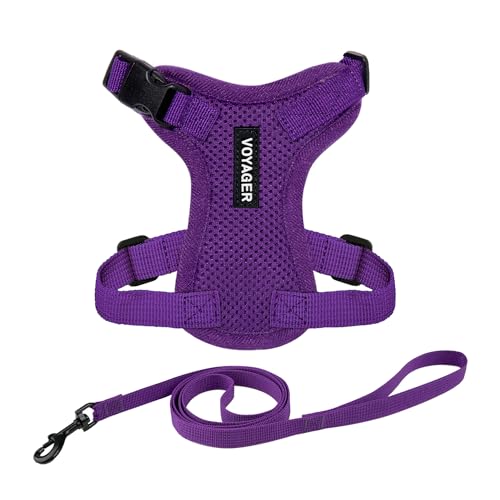 Voyager Step in Lock Cat Harness & Leash Set (Purple / S (Chest: 15 - 18"))