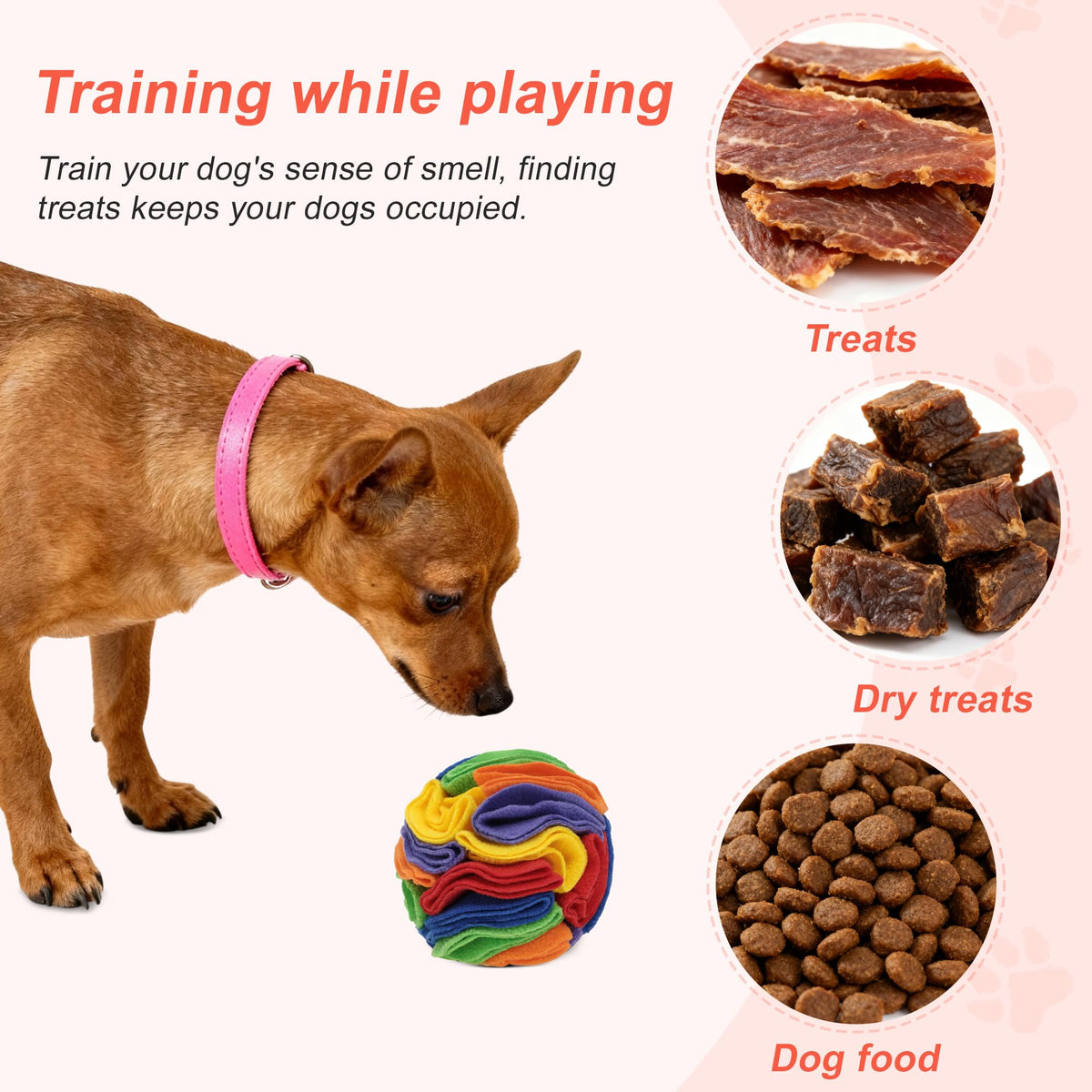Snuffle Ball for Dogs (Rainbow / Small)