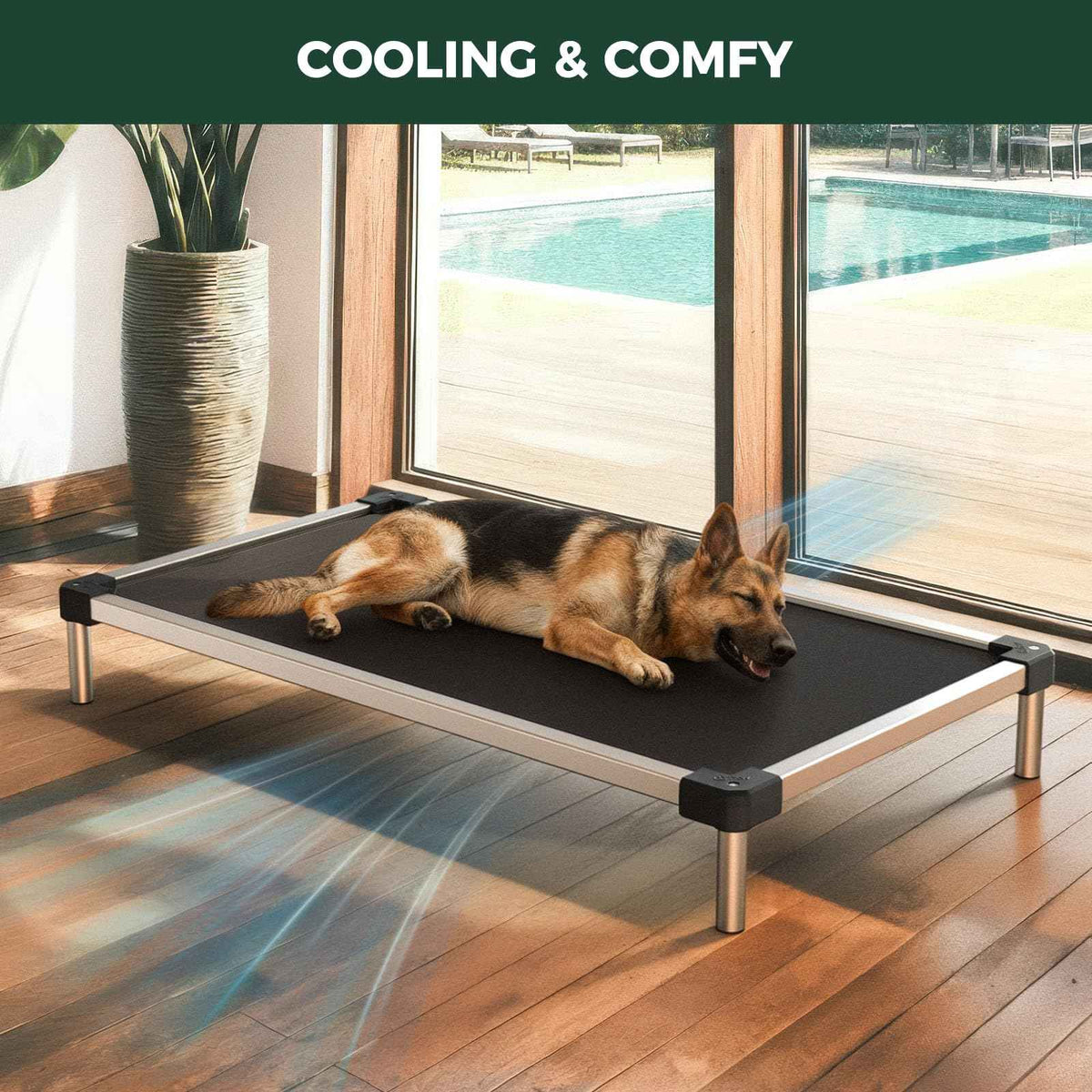 Rollick Dog Playpen with Cooling Mesh Dog Bed (Black / 40"H)