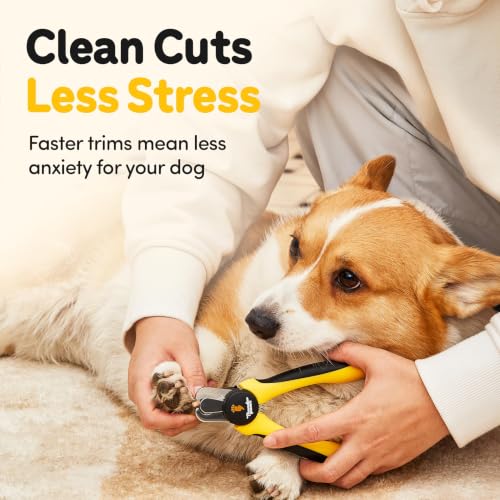 LED Dog Nail Clippers with Light (Yellow / Large)