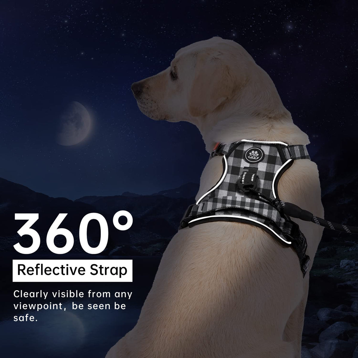 No Pull Dog Harness for Medium Dogs (Checkered Black / Medium)