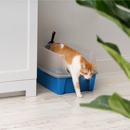 High Sided Cat Litter Box (Large / Blue)