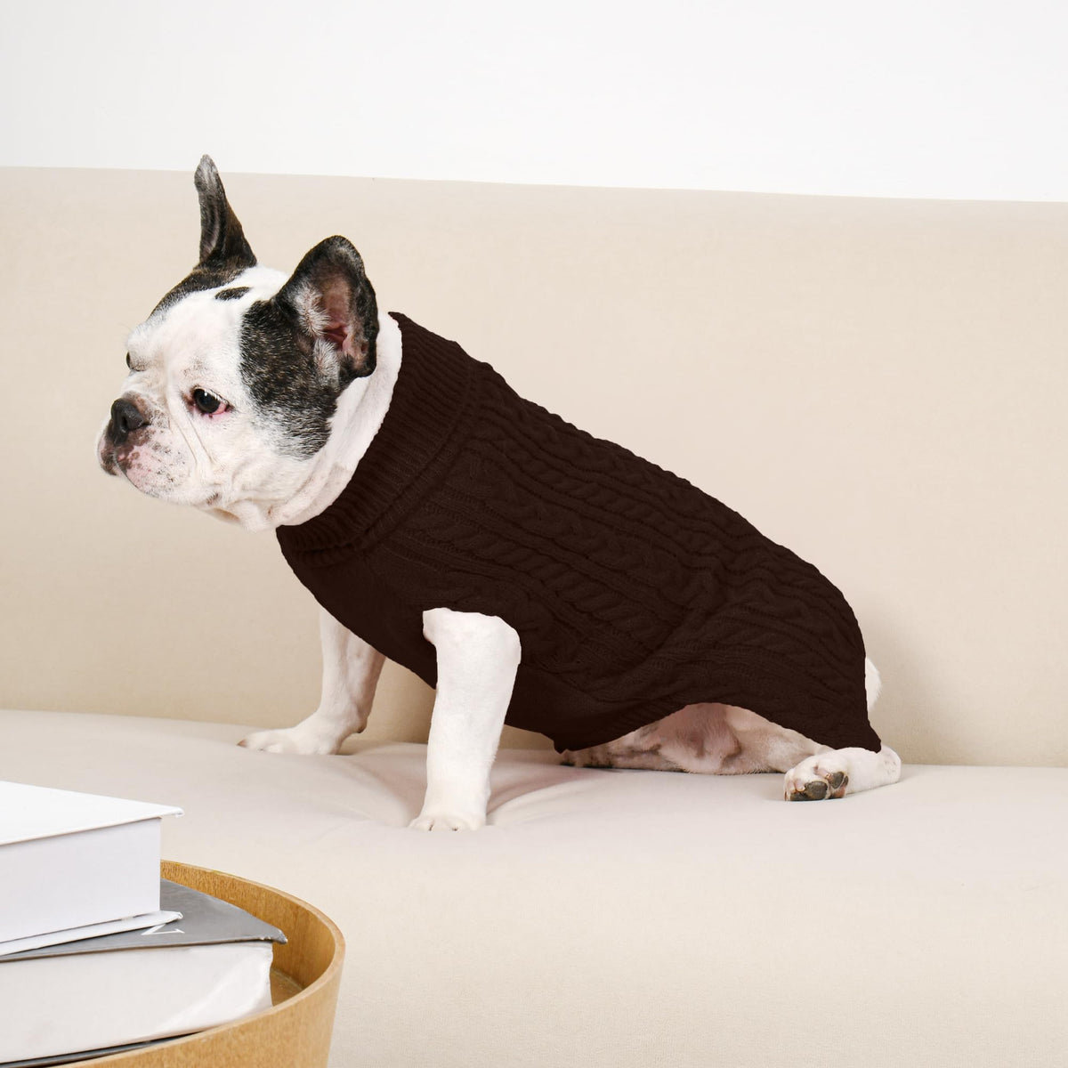 Dog Sweater 2 Pack for Medium Dogs (Oatmeal & Brown / Large)