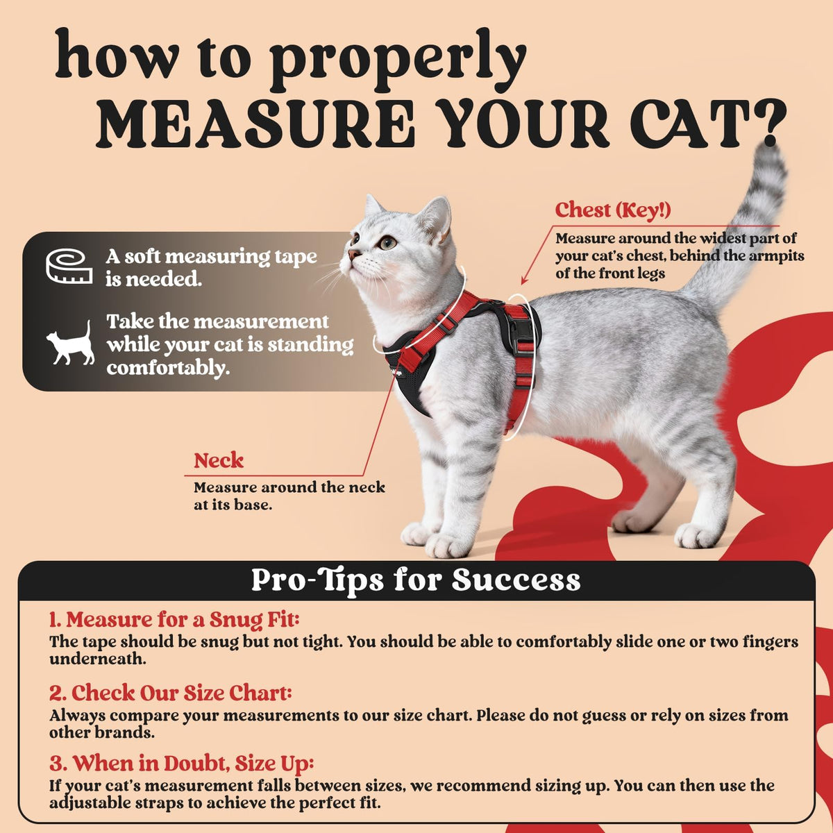 Cat Harness and Leash Set (Xs / Black & Red)