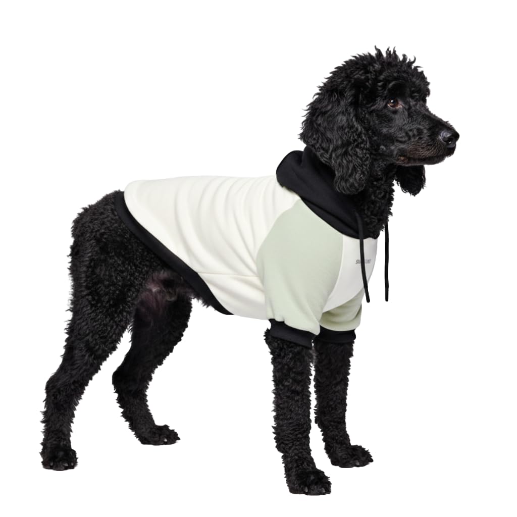Dog Hoodie Buttery (Olive Cream / 3XL)