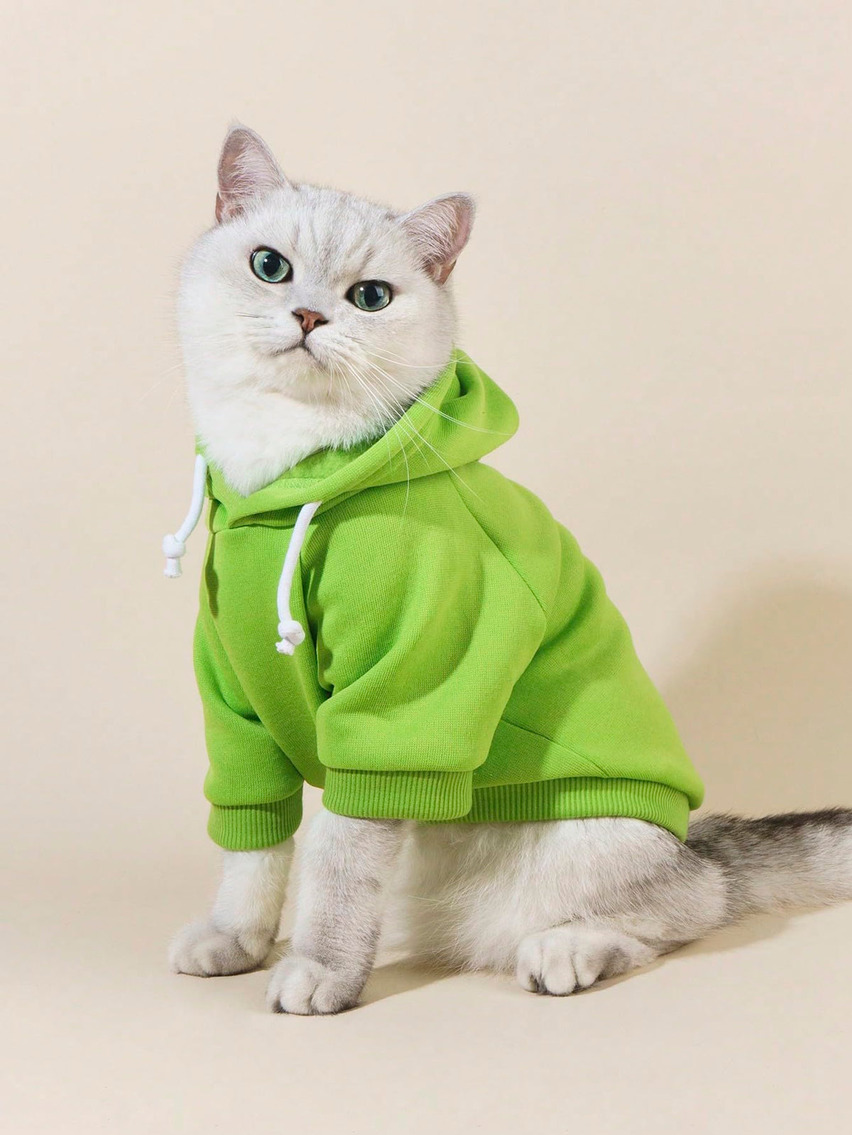 Basic Dog Hoodie Sweatshirt Puppy Sweater Warm Cat Costumes Pet Clothes for Chihuahua Puppy Kitten Small Medium Dogs Green Large (Large / Green)