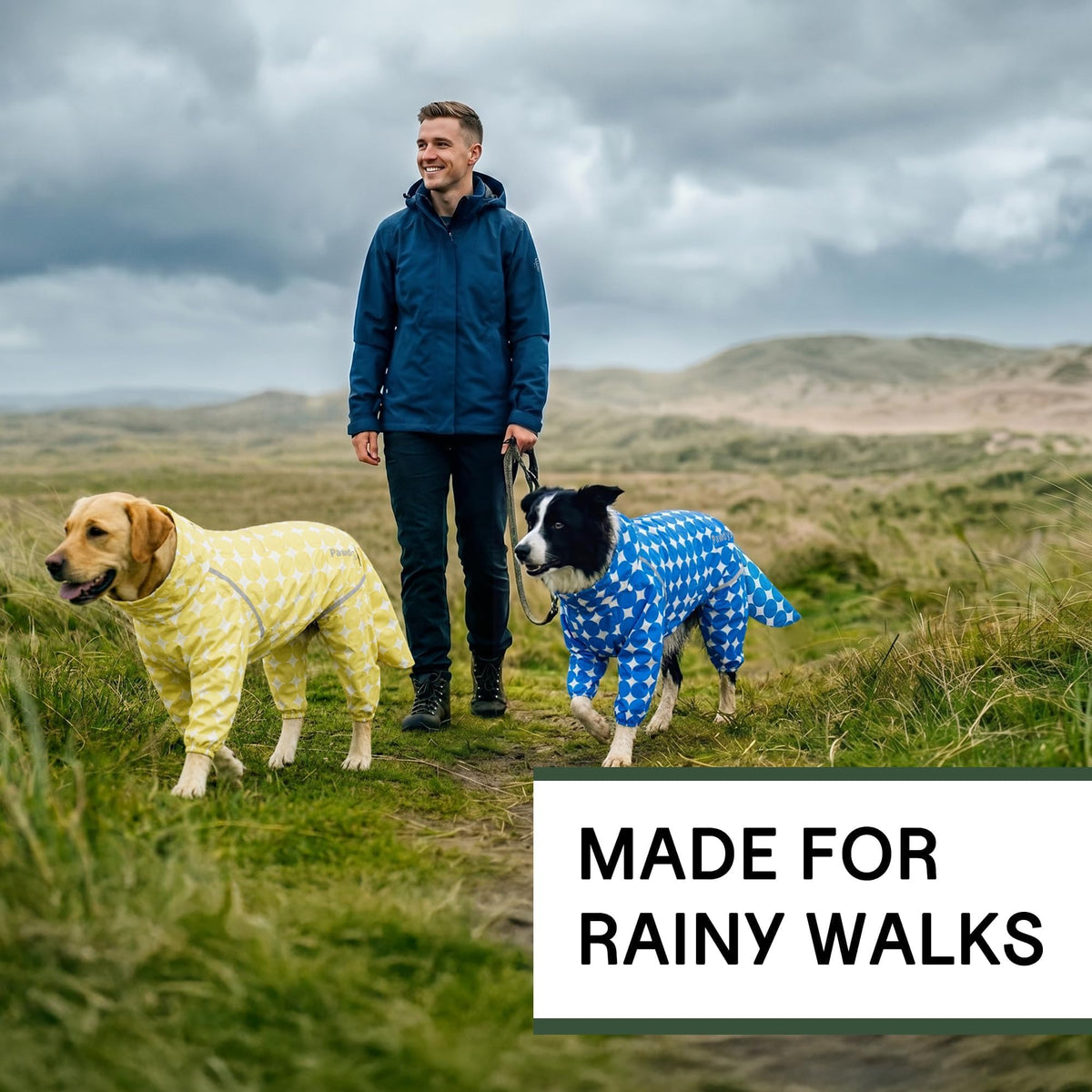 Polka Dot Dog Raincoat (Royal Blue / Large)