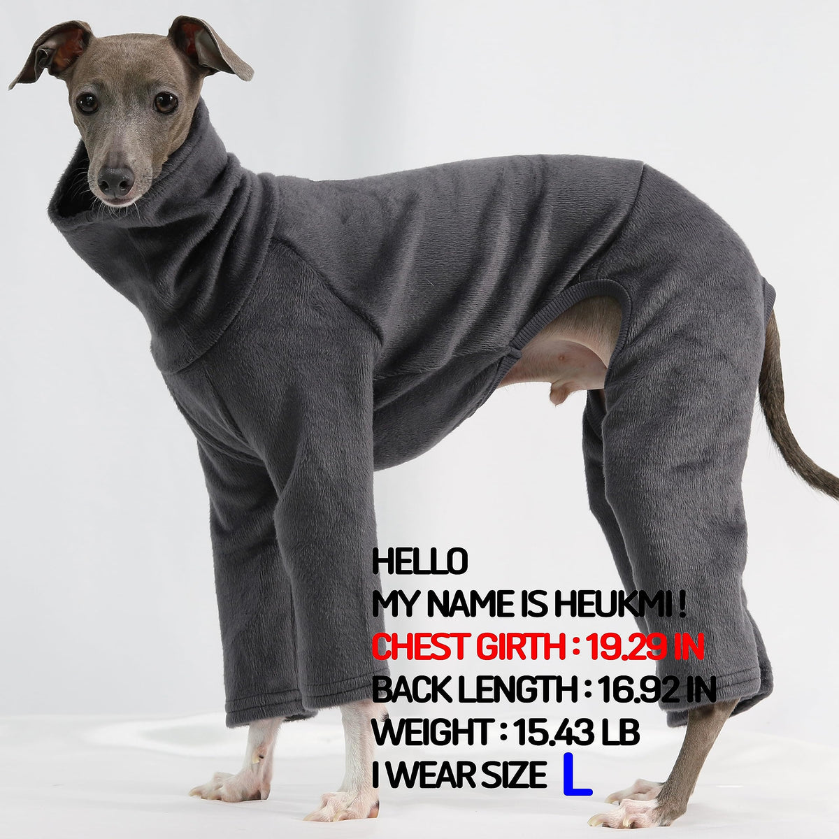 D Doggy Star Italian Greyhound Clothes Sweater Fleece Basic Onesie Whippet for Dog Turtleneck Outfits Coat (3XL / Flc Charcoal)