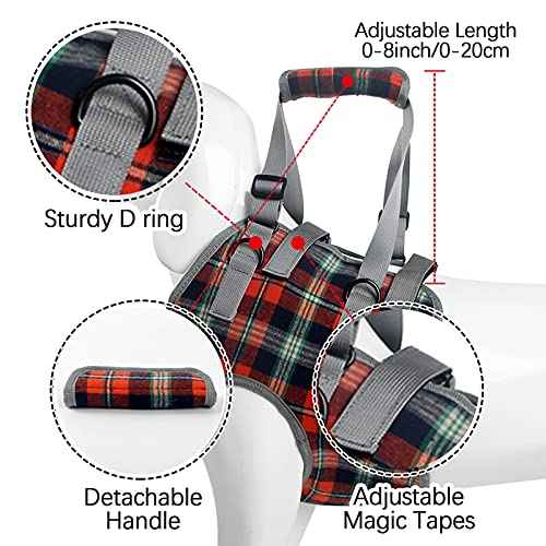 Dog Lift Harness (Medium / Chest-Blue)