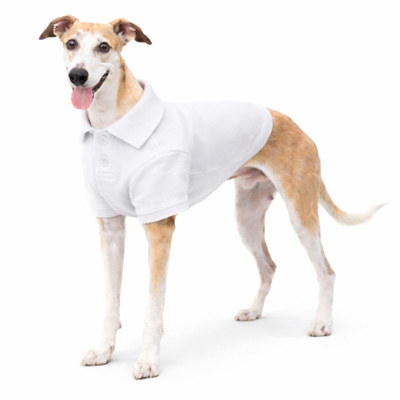 Basic Dog Polo Shirts Premium Cotton (XXXL (-75lbs) / White)