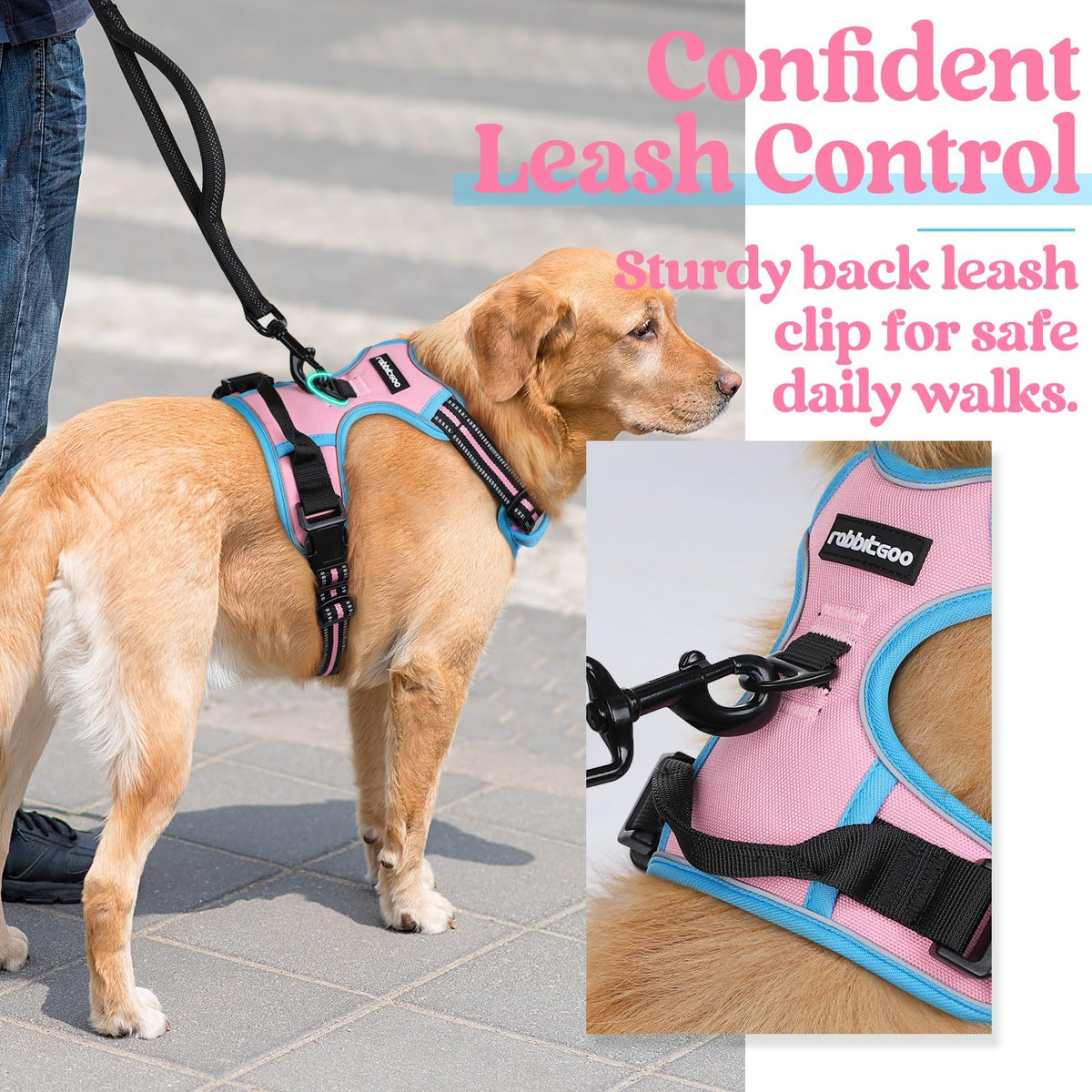 Dog Harness No Pull for Small Dogs with 2 Leash Clips (Small / Pink & Blue)