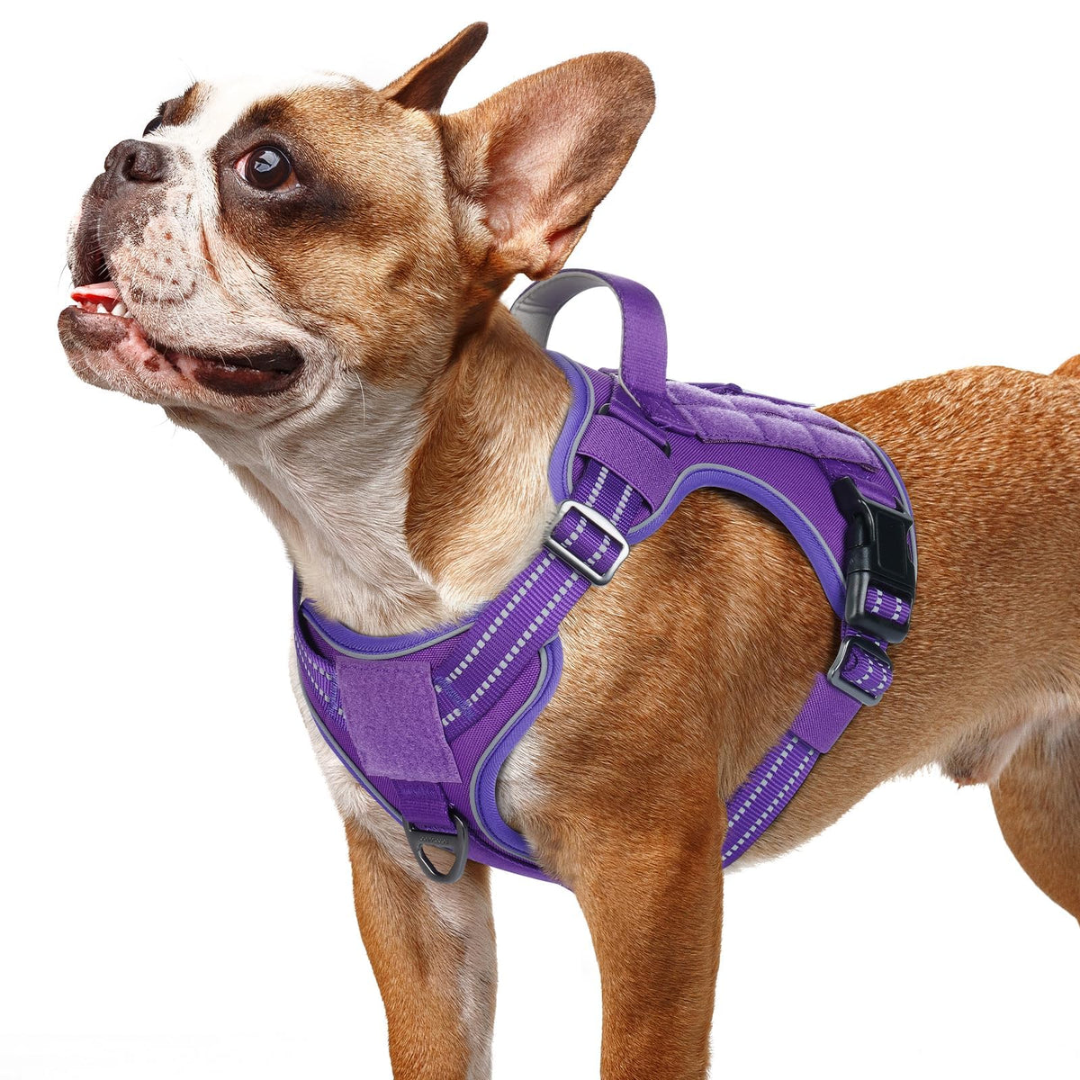 Tactical Dog Harness for Small Dogs (S(Chest:16.1"-31.5",Neck:15.4"-21.6",Back:7.1") / Purple)