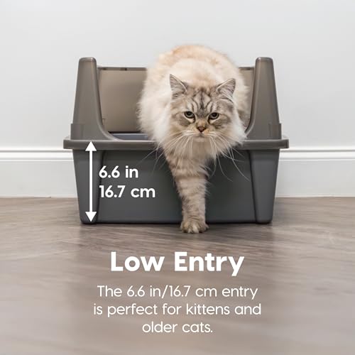 XX Large High Sided Cat Litter Box (XXL / Gray)