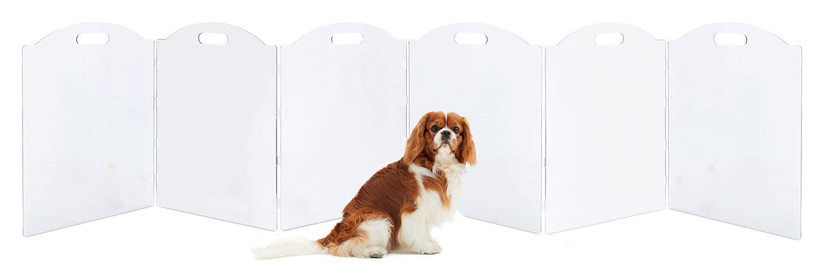 Extra Wide Clear Acrylic Freestanding Dog Gates for the House (6 Panel - 120''W x 24''H)