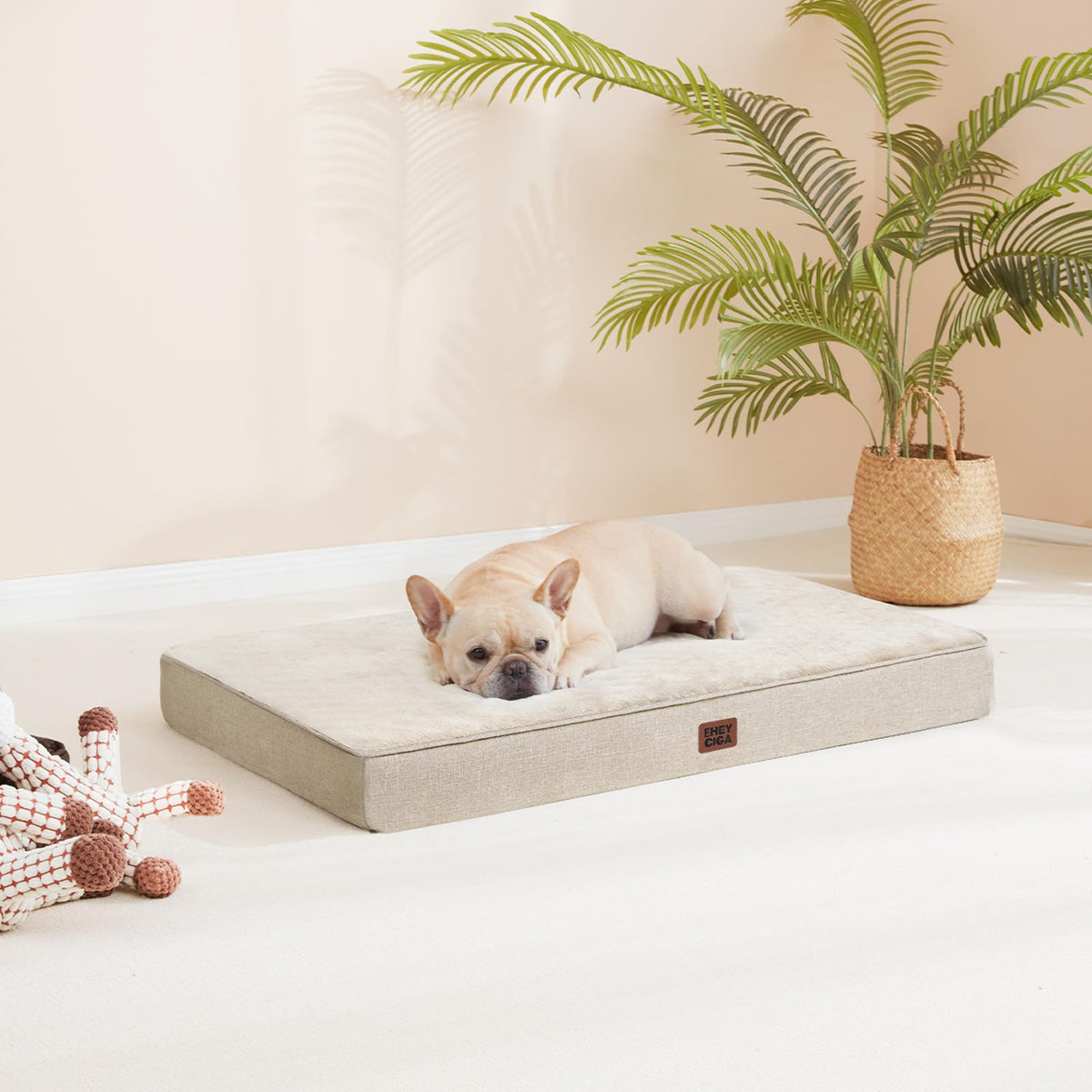 XXL Washable Dog Crate Bed with Memory Foam (Beige / 47*29*3.5 Inches)