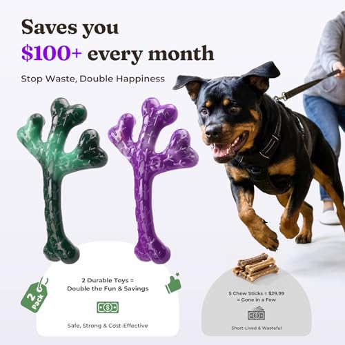 2 Pack Tough Dog Chew Toys for Aggressive Chewers (Green & Purple-2-Pack)