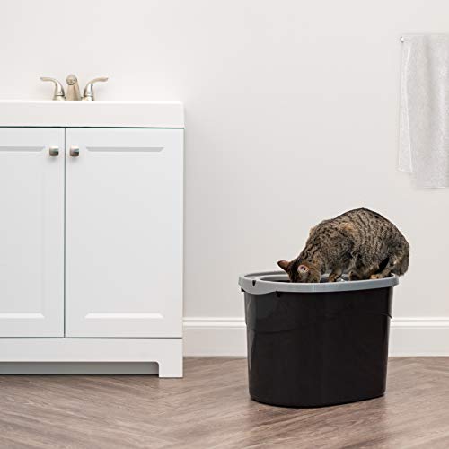 Top Entry Cat Litter Box (Oval / Black w/ Scoop)