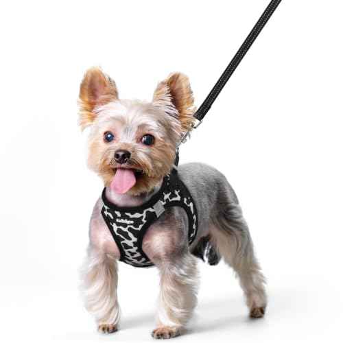Dog Harness Small Sized and Leash Set (Black White Cow / Xs (chest: 13.3 - 15.5"))