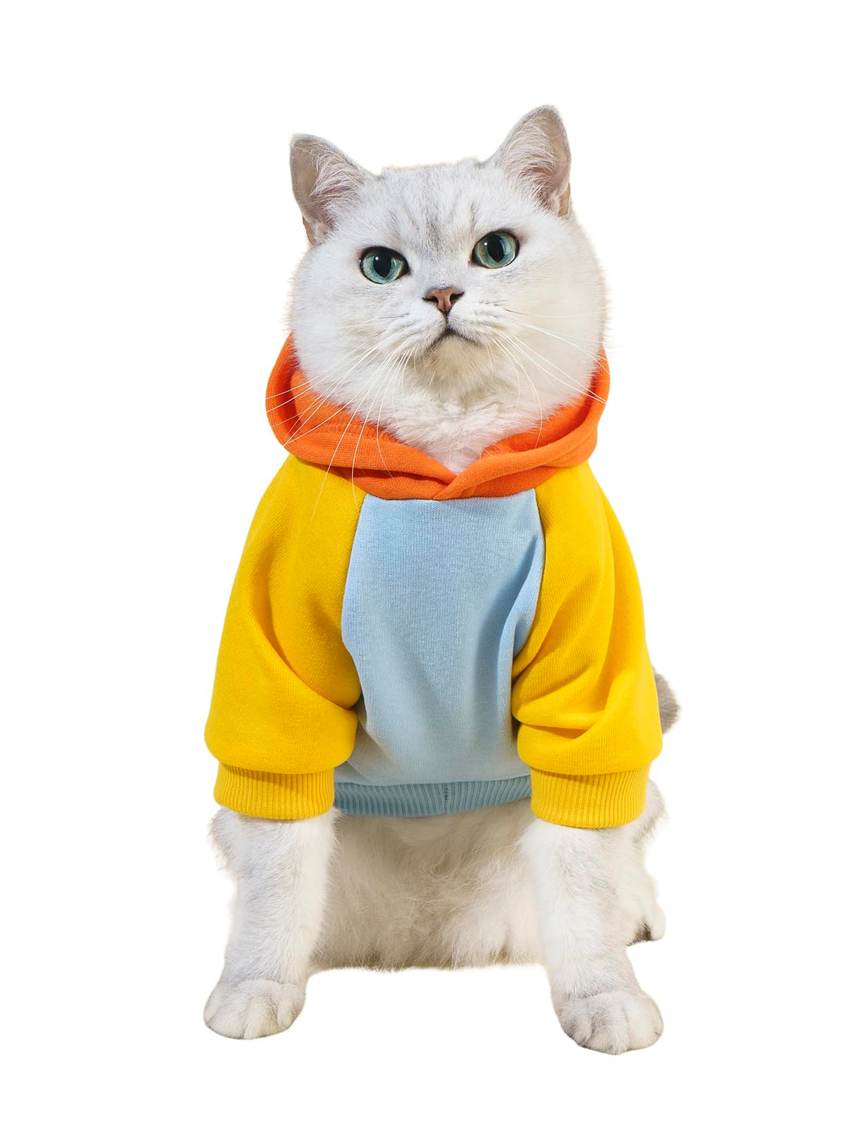 Basic Dog Hoodie Sweatshirt Puppy Sweater Warm Cat Costumes Pet Clothes for Chihuahua Puppy Kitten Small Medium Dogs Orange and Blue Large (Large / Orange and Blue)