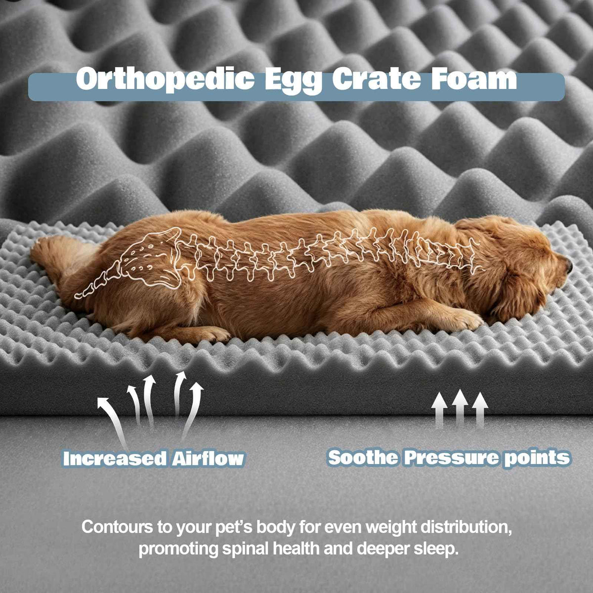 Orthopedic Extra Large Dog Bed (Light Blue/Light Grey / 44.0" L x 31.5" W x 7.5" Th)