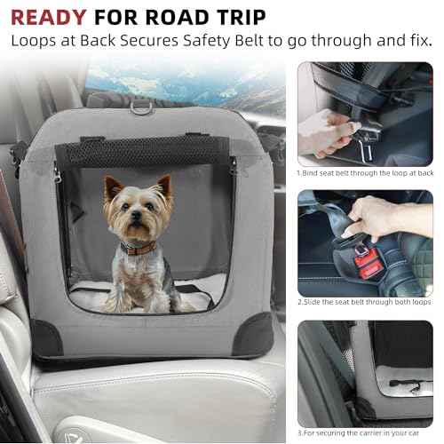 Large Cat Carrier for 2 Cats (Grey / 24.0"L x 17.0"W x 17.0"H)