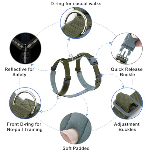 No Pull Dog Harness (M / Ranger Green)